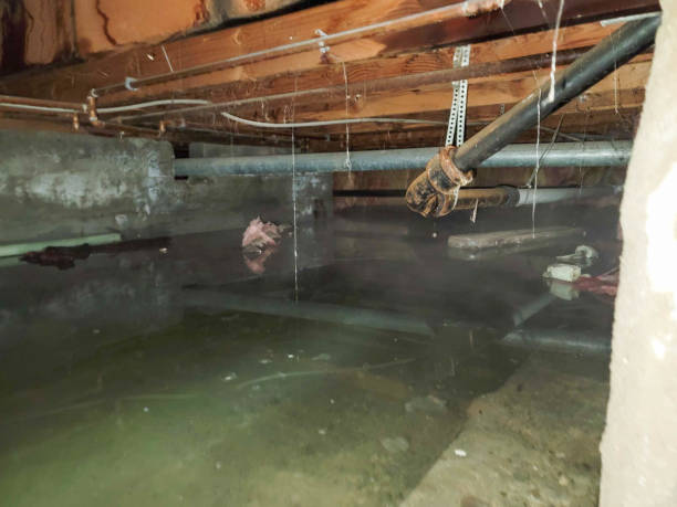 Best Carpet water damage restoration  in De Leon, TX